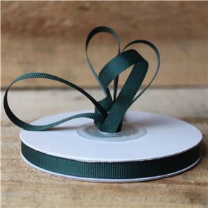 Basics 2 Go Grosgrain Ribbon - 7mm Spruce